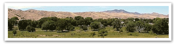 Panoramic view of Monticello