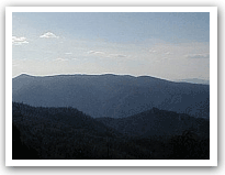 Evening in the Black Range